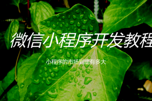 微信小程序开发实战教程