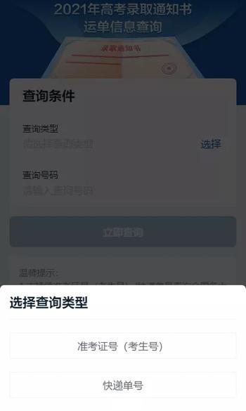 选择查询类型