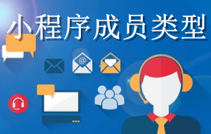 微信小程序成员类型
