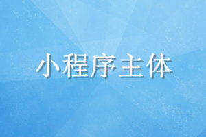 小程序主体