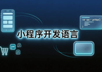 小程序开发语言